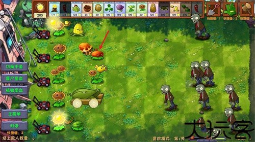 植物大战僵尸融合版