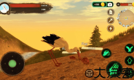 丹顶鹤模拟器