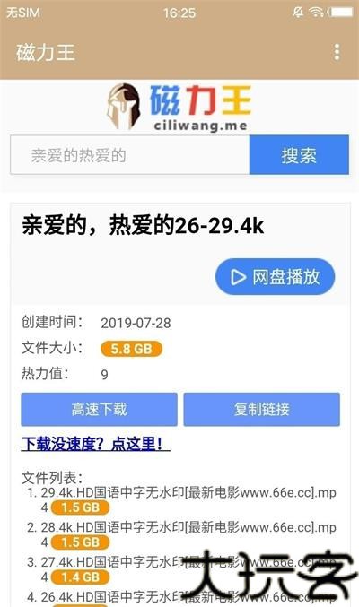 磁力王