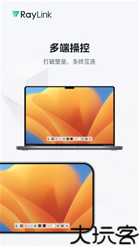 RayLink远程控制