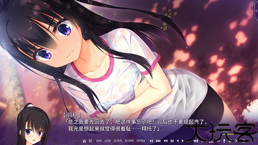 RiddleJoker冷狐版