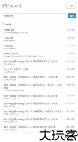 无极磁链