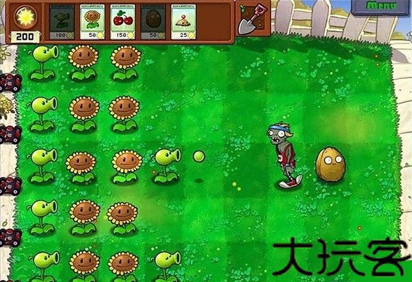 植物大战僵尸2010
