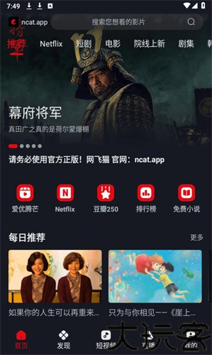 网飞猫