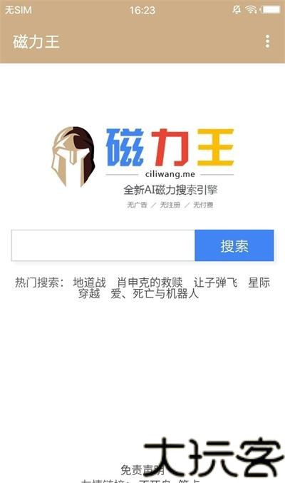 磁力王