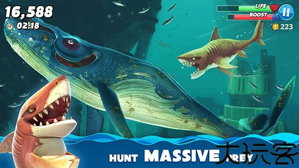 hungryshark