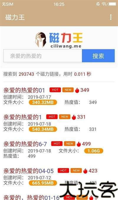磁力王