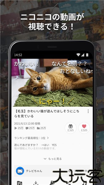 N站