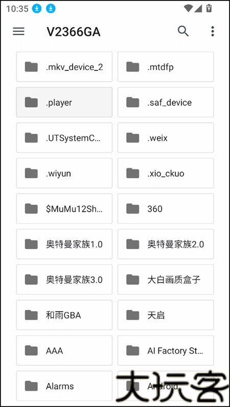 Ruffle模拟器
