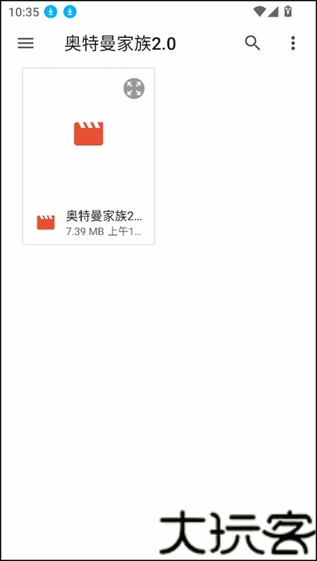 Ruffle模拟器