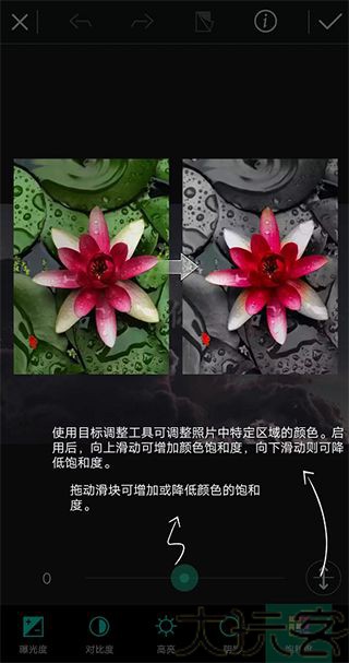 PhotoDirector