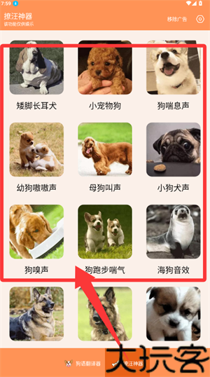 人狗交流器