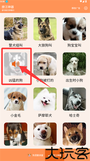 人狗交流器