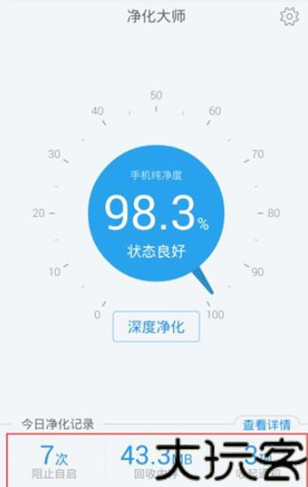 净化大师