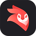 VideoLeap