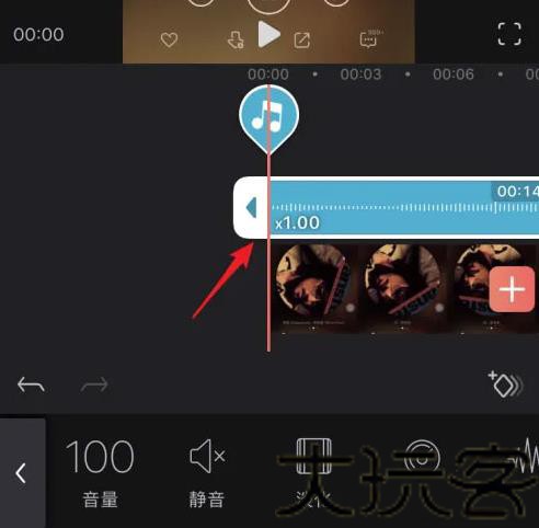 VideoLeap