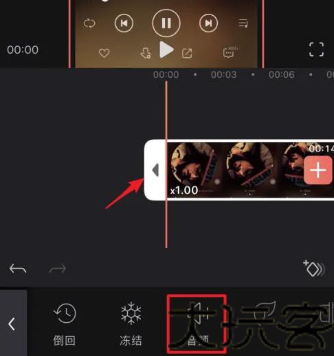 VideoLeap