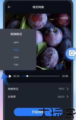 口袋视频转换器