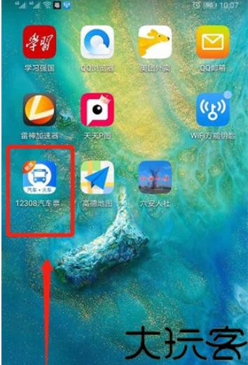 订票助手12308