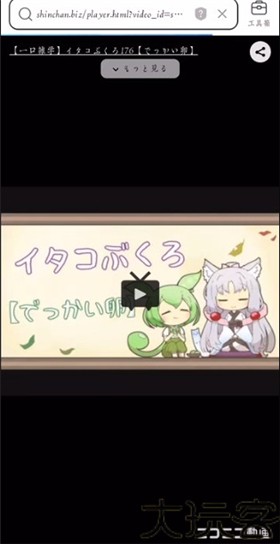 N站