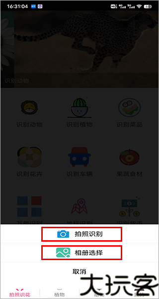 拍照识花神器