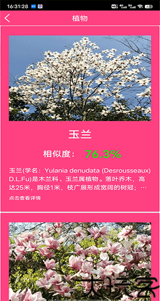拍照识花神器