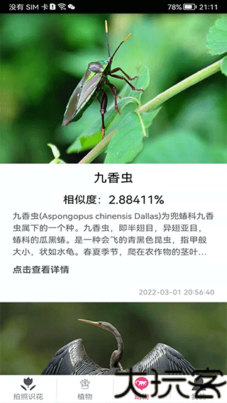 拍照识花神器