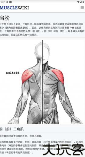 Musclewiki