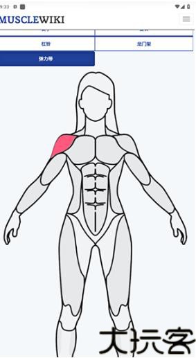 Musclewiki