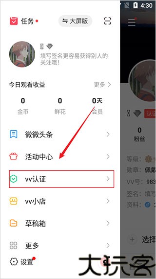 VV音乐