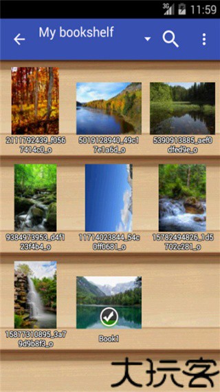 Perfectviewer捐赠版