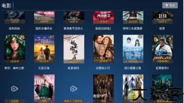 华人TV