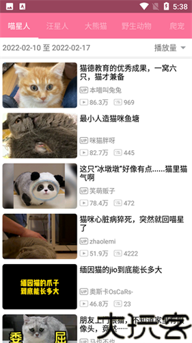哔哩猫