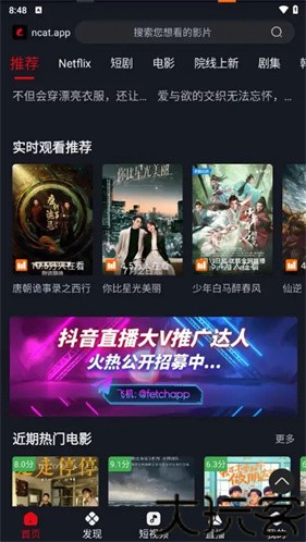 网飞猫