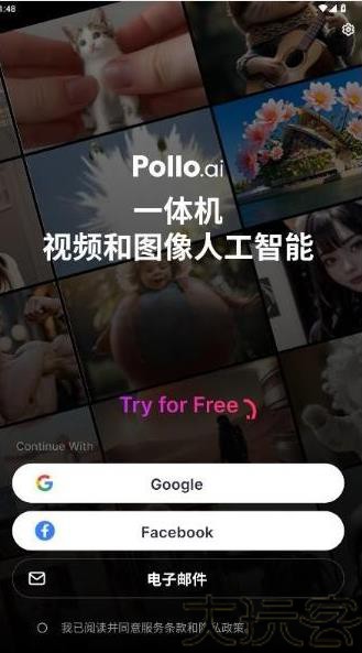Pollo