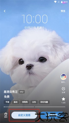 vivo主题商店