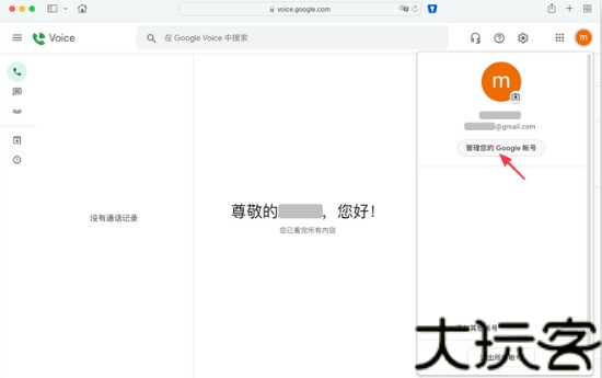 google voice