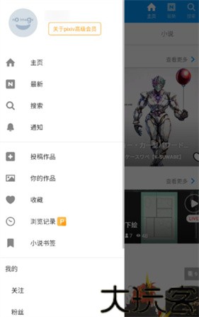 P站