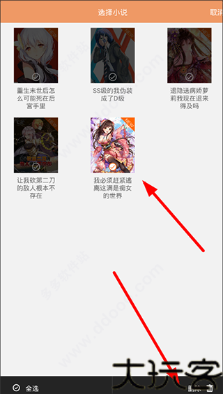 菠萝包轻小说