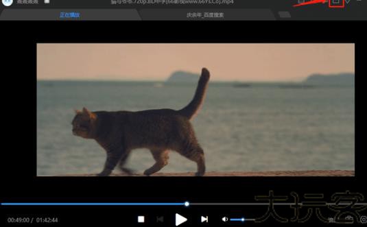 迅雷看看