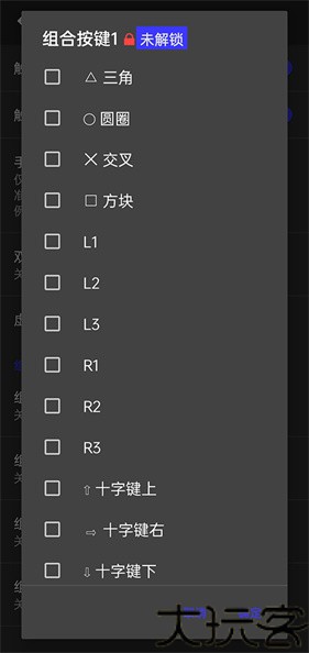 呆萌ps2模拟器
