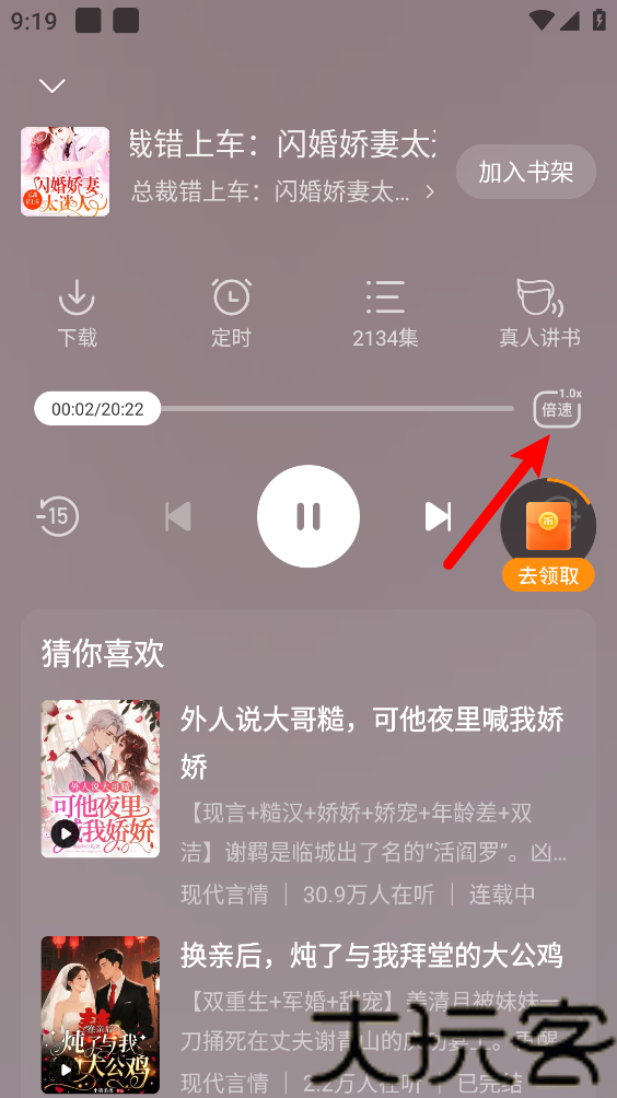 琴弦小说