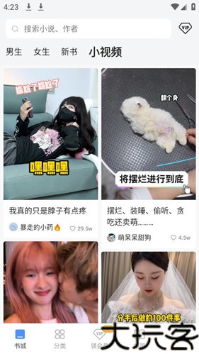 坏坏猫搜索