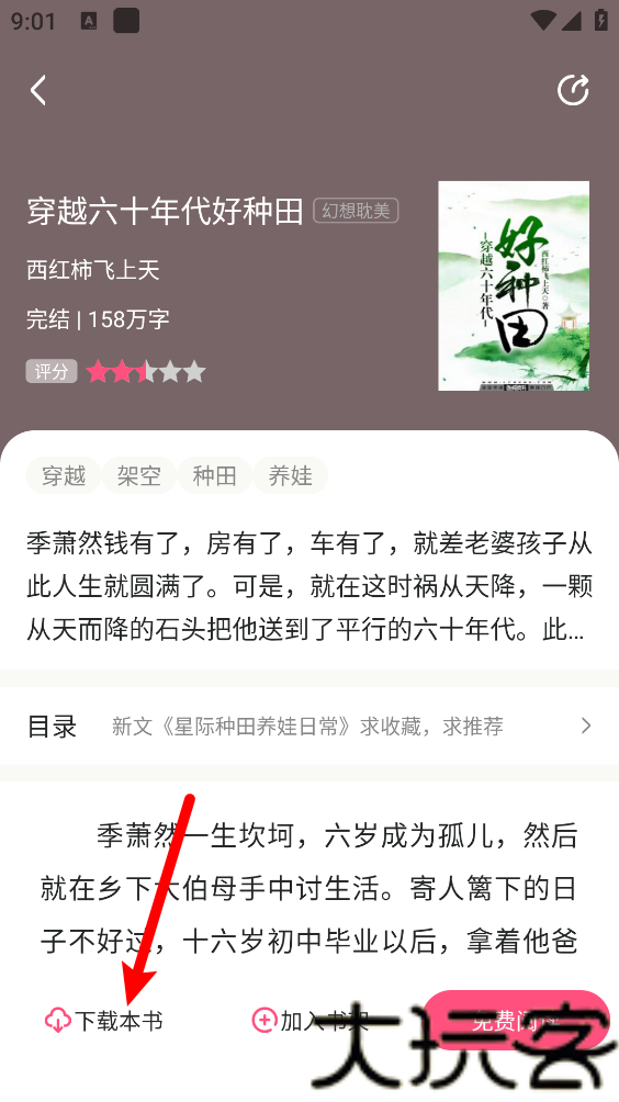 腐竹小说