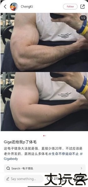 GigaBody