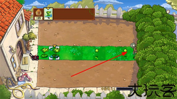 植物大战僵尸中国版