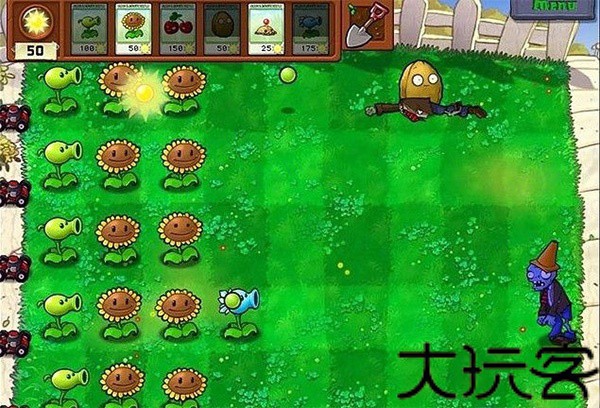 植物大战僵尸年度版