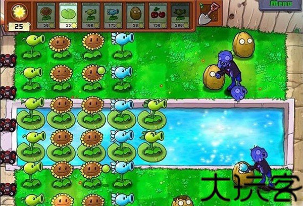 植物大战僵尸年度版
