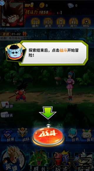 七星龙珠