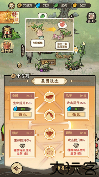 极品螳螂